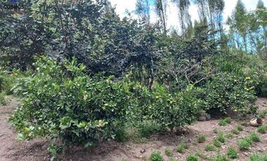 Venta de casa de campo en Otavalo sector Rio Blanco