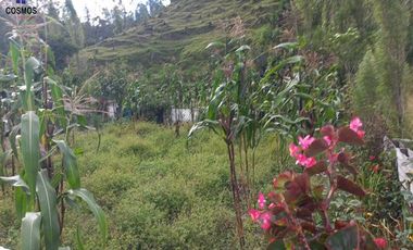 Venta de casa de campo en Otavalo sector Rio Blanco