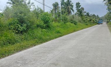 Commercial lot for sale 1,191 sqm wide frontage in Sagbayan Bohol 2,000/sqm