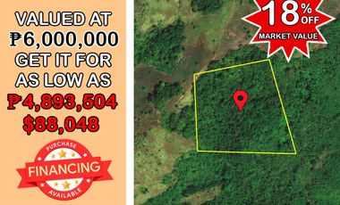 43,692 sqm Homesteading with Overlooking views of Honda Bay