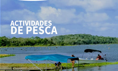 PAGO EN $500 Quincenal  SIN INTERES, ABONO Y REQUISITOS en Green Dream PTY.