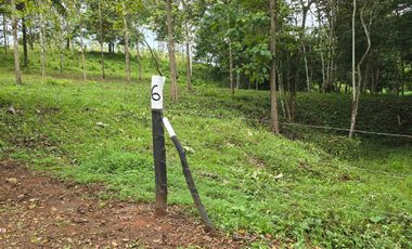 PAGO EN $500 Quincenal  SIN INTERES, ABONO Y REQUISITOS en Green Dream PTY.