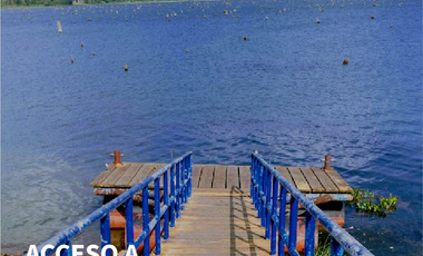 PAGO EN $500 Quincenal  SIN INTERES, ABONO Y REQUISITOS en Green Dream PTY.