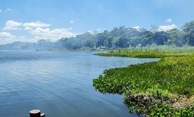 PAGO EN $500 Quincenal  SIN INTERES, ABONO Y REQUISITOS en Green Dream PTY.