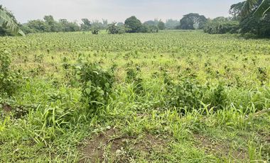 Very Affordable Pre-selling 205 sqm Residential Farm Lot for Sale in Mendez Cavite