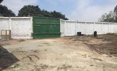 Terreno en Quilmana CON CASA Y NEGOCIO – 2.33  has