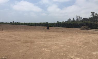 Terreno en Quilmana CON CASA Y NEGOCIO – 2.33  has