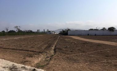 Terreno en Quilmana CON CASA Y NEGOCIO – 2.33  has