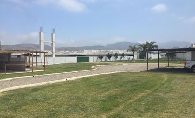 Terreno en Quilmana CON CASA Y NEGOCIO – 2.33  has