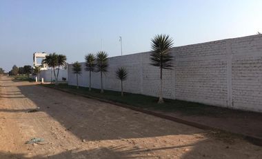 Terreno en Quilmana CON CASA Y NEGOCIO – 2.33  has