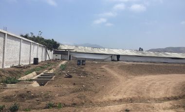 Terreno en Quilmana CON CASA Y NEGOCIO – 2.33  has