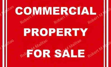 591 sqm Commercial Lot for Sale along Quirino Highway, Baesa, Quezon City