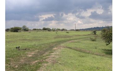 TERRENO LA PURISIMA HIDALGO