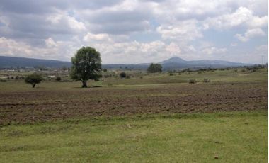 TERRENO LA PURISIMA HIDALGO