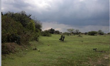 TERRENO LA PURISIMA HIDALGO