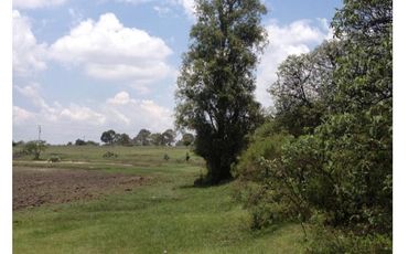 TERRENO LA PURISIMA HIDALGO