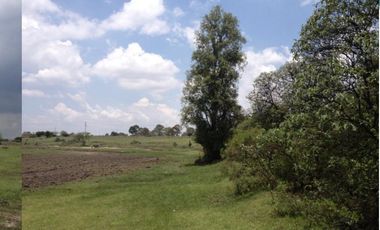 TERRENO LA PURISIMA HIDALGO