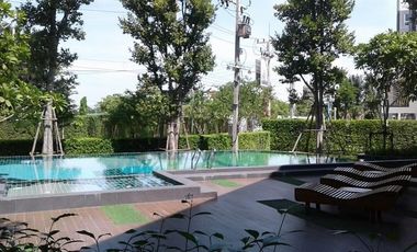 Condo Zelle Salaya Near Mahidol University / Kanchana Medical Center  7,500 baht/month