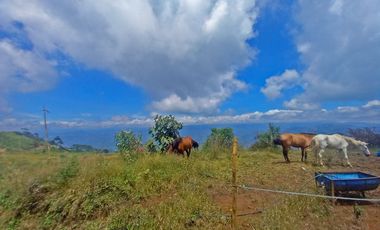 VENTA LOTE  EN VEREDA LA ESTRELLA, SAN JOSE, CALDAS