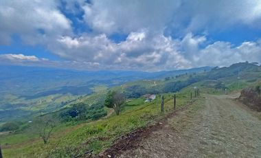 VENTA LOTE  EN VEREDA LA ESTRELLA, SAN JOSE, CALDAS