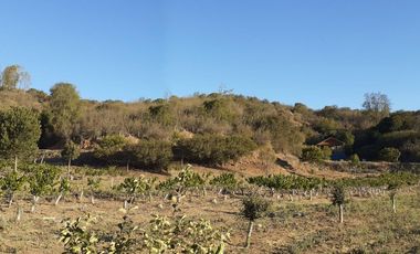 SE VENDE PARCELA CON CASAS EN FUNDO SAN JORGE QUILPUE UF6.008