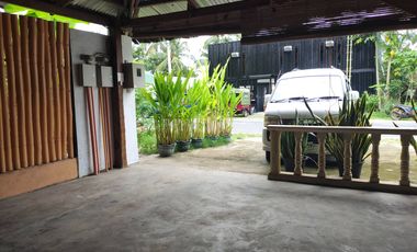 GUEST HOUSE WITH RESTAURANT FOR SALE IN SIQUIJOR SIQ0093