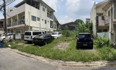 291 sqm Vacant Lot For Sale in Green Park Village, Pasig City