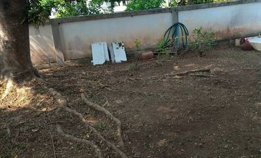 2 Bedroom House in San Sai for Sale or Rent