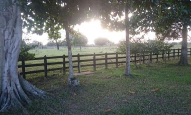 Se Vende Finca GANADERA De 530 Hectareas Cerca Monteria Cordoba, A 35 Millones Hectarea