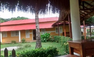 Se Vende Finca GANADERA De 530 Hectareas Cerca Monteria Cordoba, A 35 Millones Hectarea