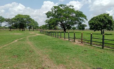 Se Vende Finca GANADERA De 530 Hectareas Cerca Monteria Cordoba, A 35 Millones Hectarea