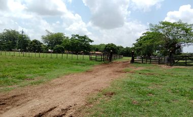 Se Vende Finca GANADERA De 530 Hectareas Cerca Monteria Cordoba, A 35 Millones Hectarea
