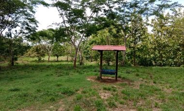 Se Vende Finca GANADERA De 530 Hectareas Cerca Monteria Cordoba, A 35 Millones Hectarea