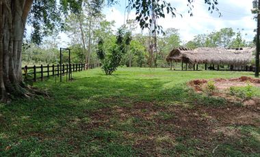 Se Vende Finca GANADERA De 530 Hectareas Cerca Monteria Cordoba, A 35 Millones Hectarea