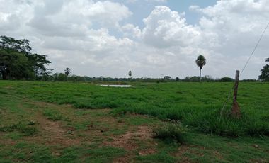 Se Vende Finca GANADERA De 530 Hectareas Cerca Monteria Cordoba, A 35 Millones Hectarea