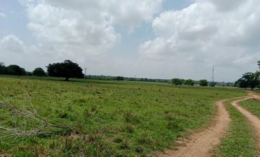 Se Vende Finca GANADERA De 530 Hectareas Cerca Monteria Cordoba, A 35 Millones Hectarea