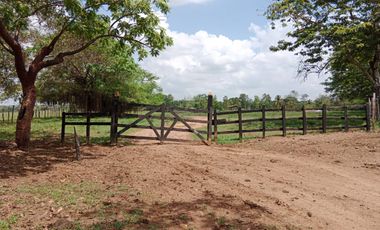 Se Vende Finca GANADERA De 530 Hectareas Cerca Monteria Cordoba, A 35 Millones Hectarea