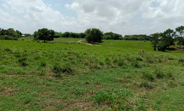 Se Vende Finca GANADERA De 530 Hectareas Cerca Monteria Cordoba, A 35 Millones Hectarea