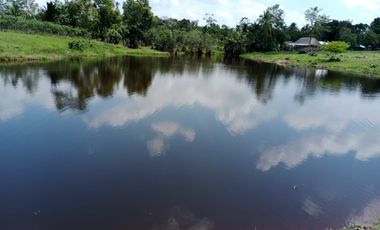 Se Vende Finca GANADERA De 530 Hectareas Cerca Monteria Cordoba, A 35 Millones Hectarea
