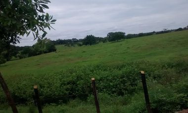 Se Vende Finca GANADERA De 530 Hectareas Cerca Monteria Cordoba, A 35 Millones Hectarea