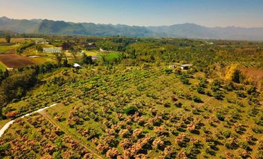 Organic certified farm with tourist option for sale