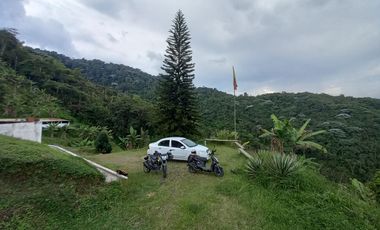 VENTA DE FINCA VEREDA SANTA ANA, DOSQUEBRADAS, RISARALDA, COLOMBIA