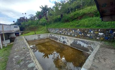 VENTA DE FINCA VEREDA SANTA ANA, DOSQUEBRADAS, RISARALDA, COLOMBIA