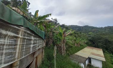 VENTA DE FINCA VEREDA SANTA ANA, DOSQUEBRADAS, RISARALDA, COLOMBIA