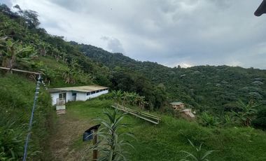 VENTA DE FINCA VEREDA SANTA ANA, DOSQUEBRADAS, RISARALDA, COLOMBIA