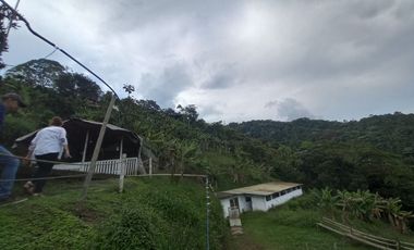 VENTA DE FINCA VEREDA SANTA ANA, DOSQUEBRADAS, RISARALDA, COLOMBIA
