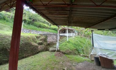 VENTA DE FINCA VEREDA SANTA ANA, DOSQUEBRADAS, RISARALDA, COLOMBIA