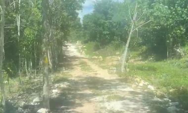 VENTA DE TERRENO EN LA RUTA DE LOS CENOTES