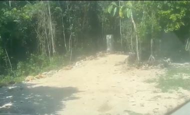 VENTA DE TERRENO EN LA RUTA DE LOS CENOTES