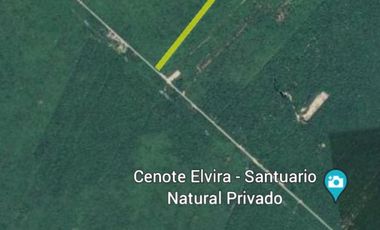 VENTA DE TERRENO EN LA RUTA DE LOS CENOTES